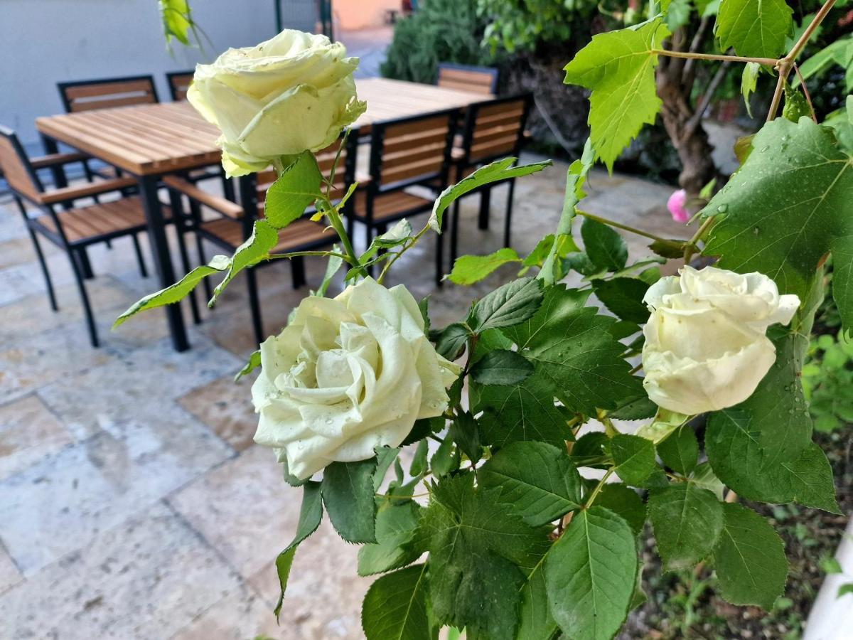Premium Apartment Alba Rosa Split Eksteriør billede